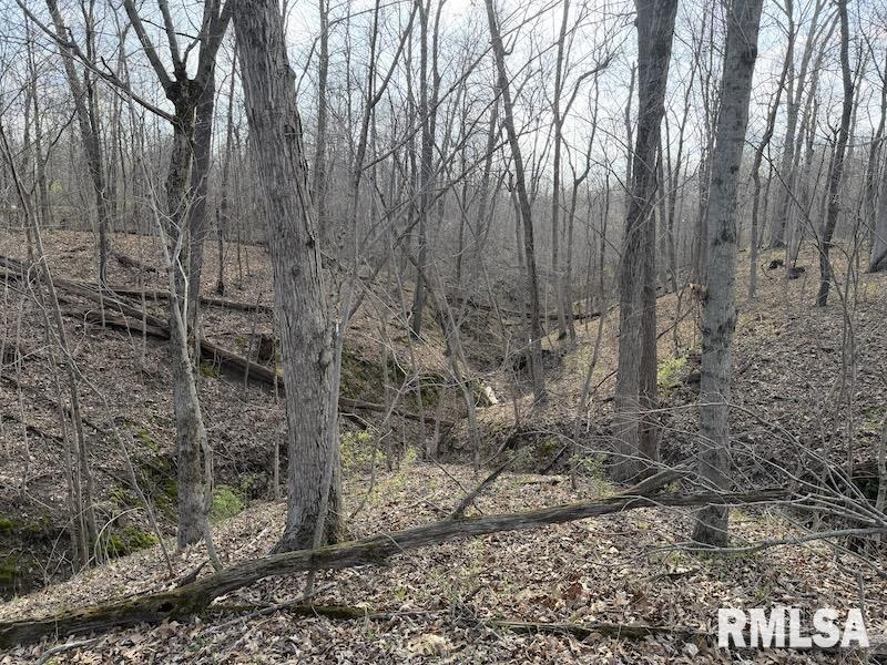 MLS #RMACA1042735 image #30