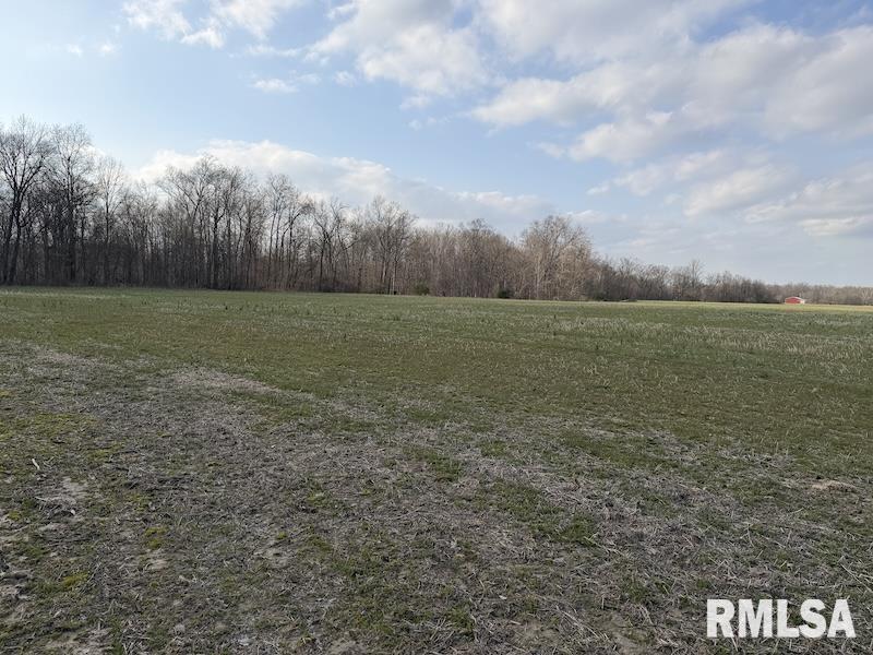 MLS #RMACA1042735 image #8