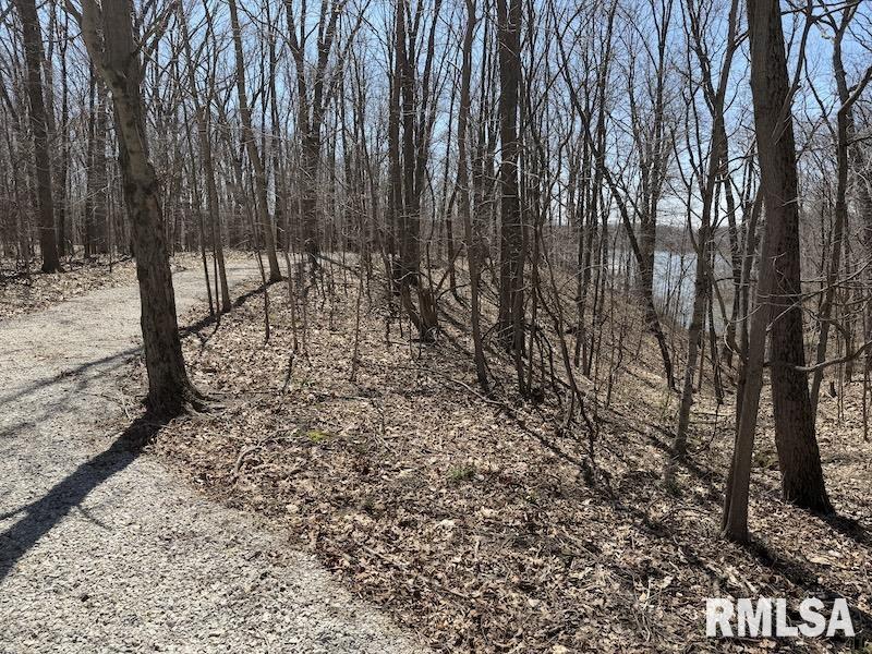 MLS #RMACA1042736 image #31