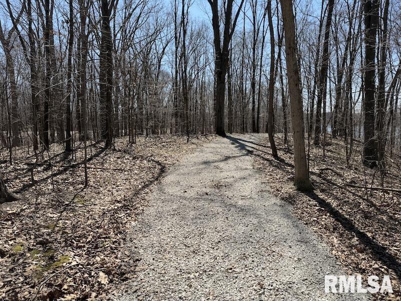 MLS #RMACA1042736 image #49