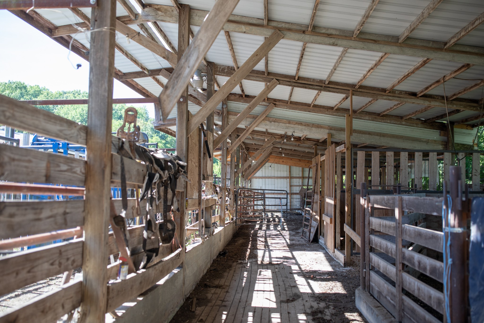 kandang kambing in english