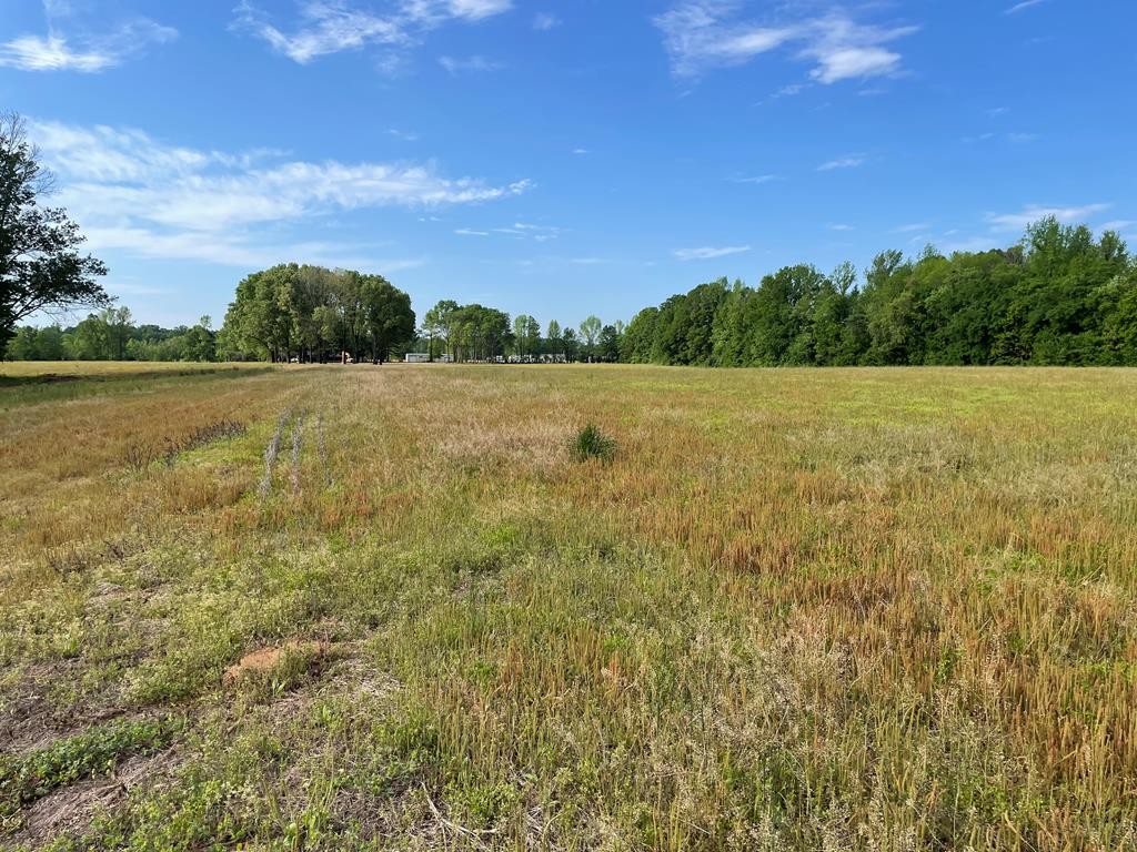 Brints Chapel Ln, Middleton, Tennessee