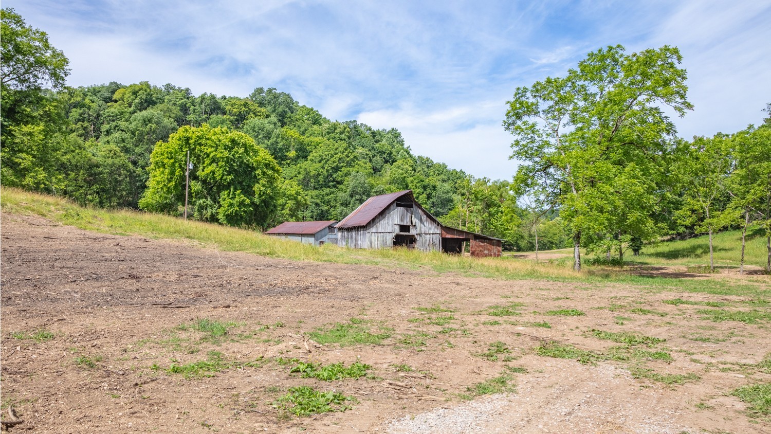 1689 Old Apple Hill Rd, Lynnville, Tennessee