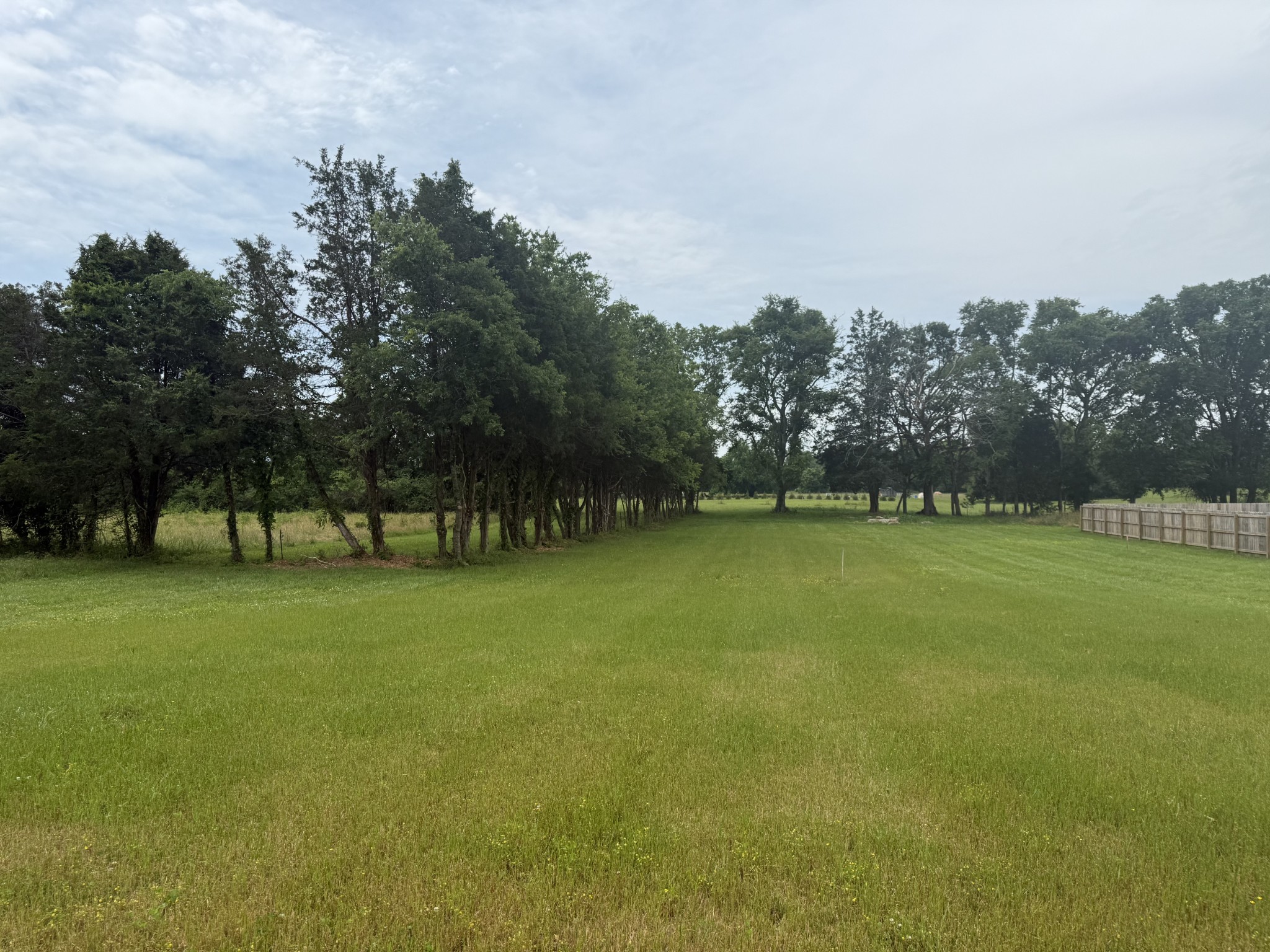 *Updated Backyard Photos Taken 6.5.2025