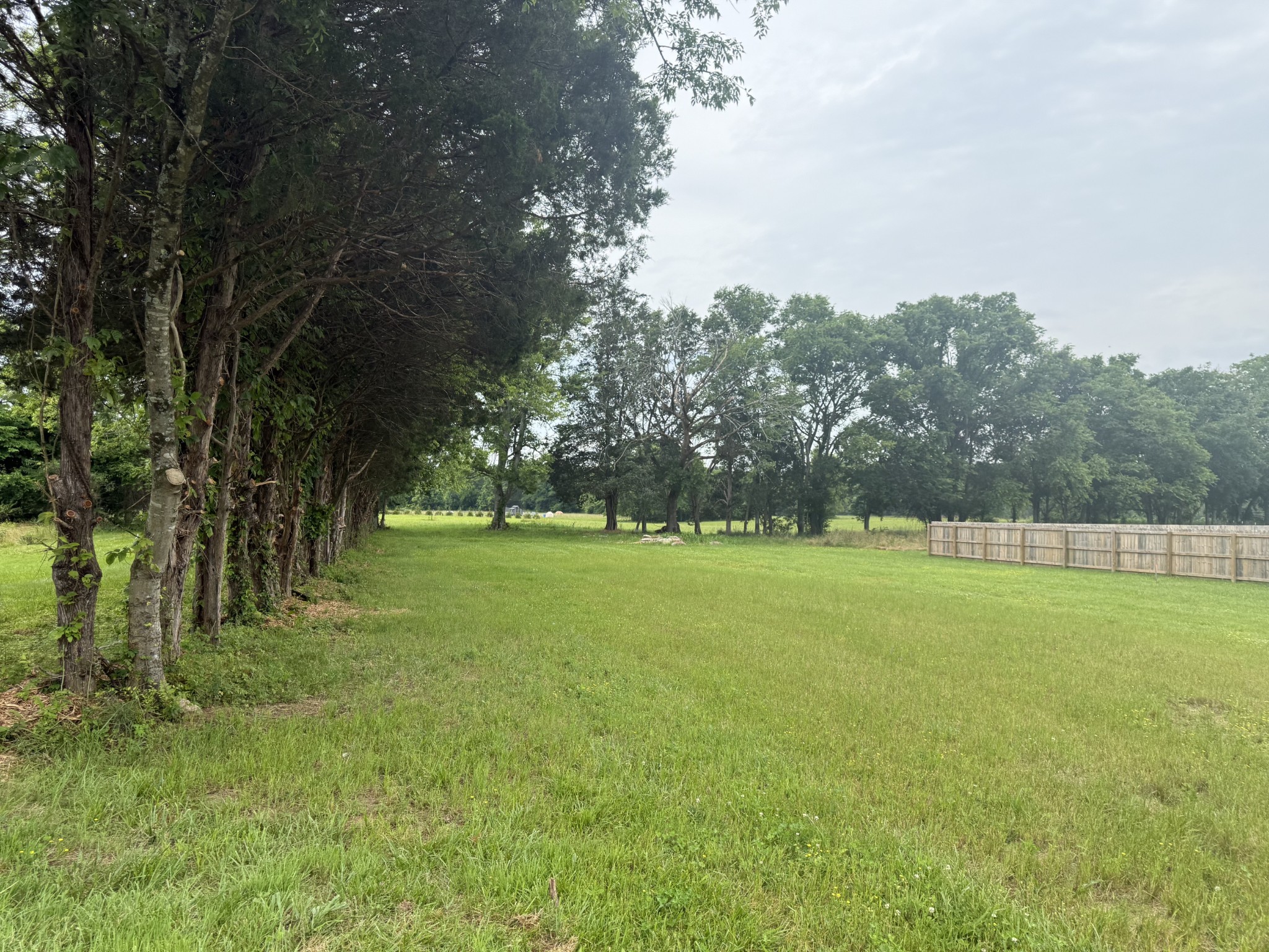 *Updated Backyard Photos Taken 6.5.2025