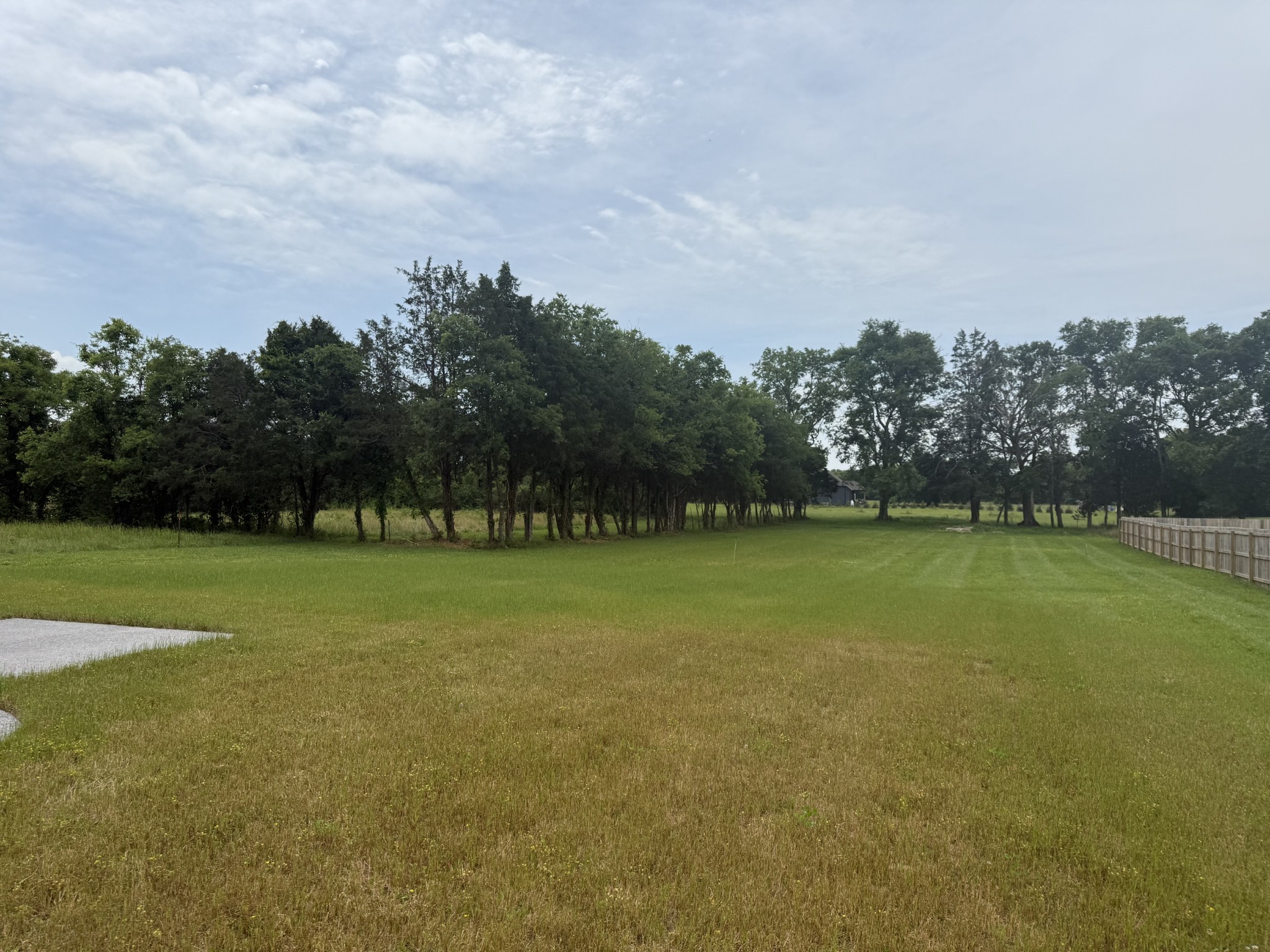 *Updated Backyard Photos Taken 6.5.2025