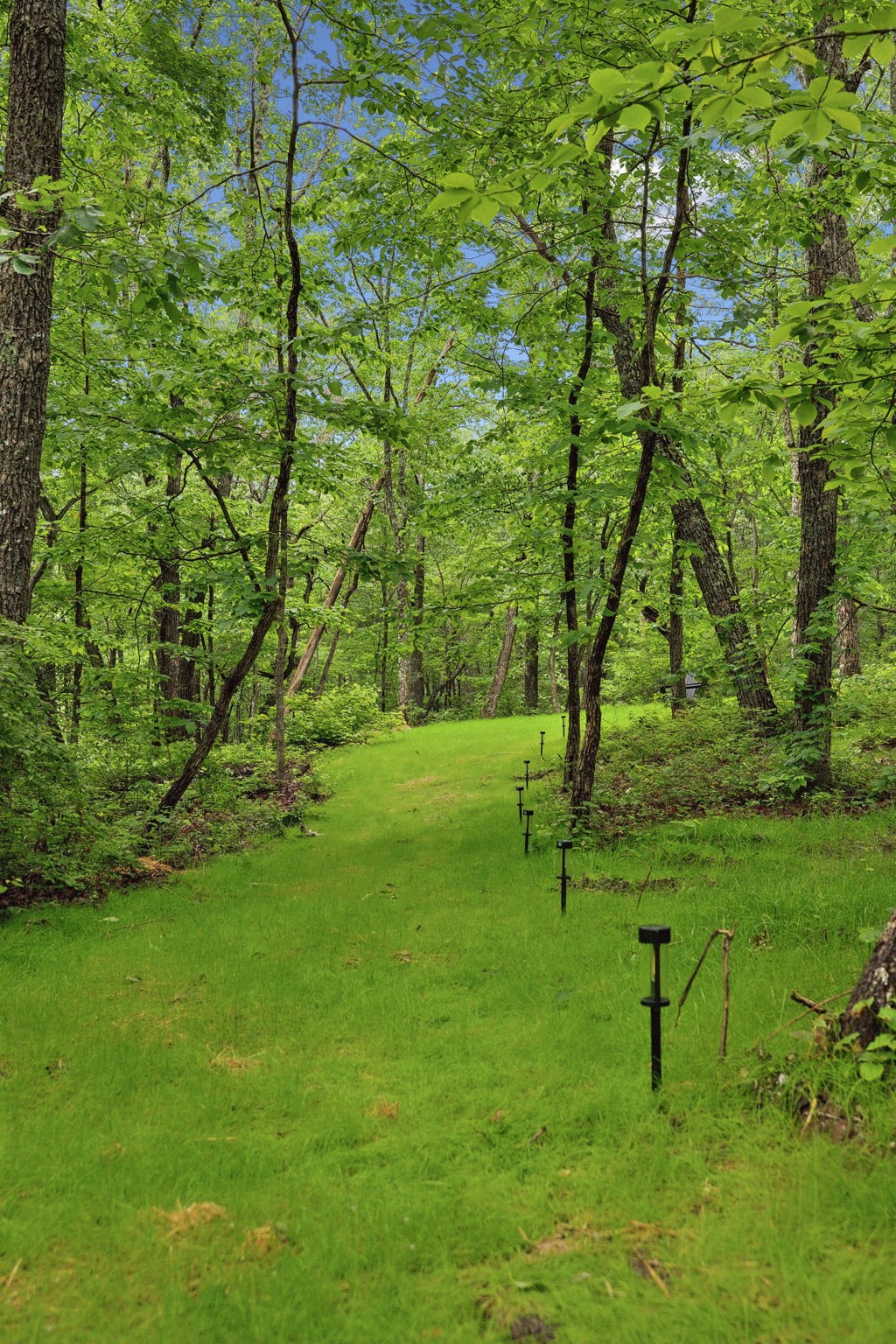 The path from the house to the lake trail access