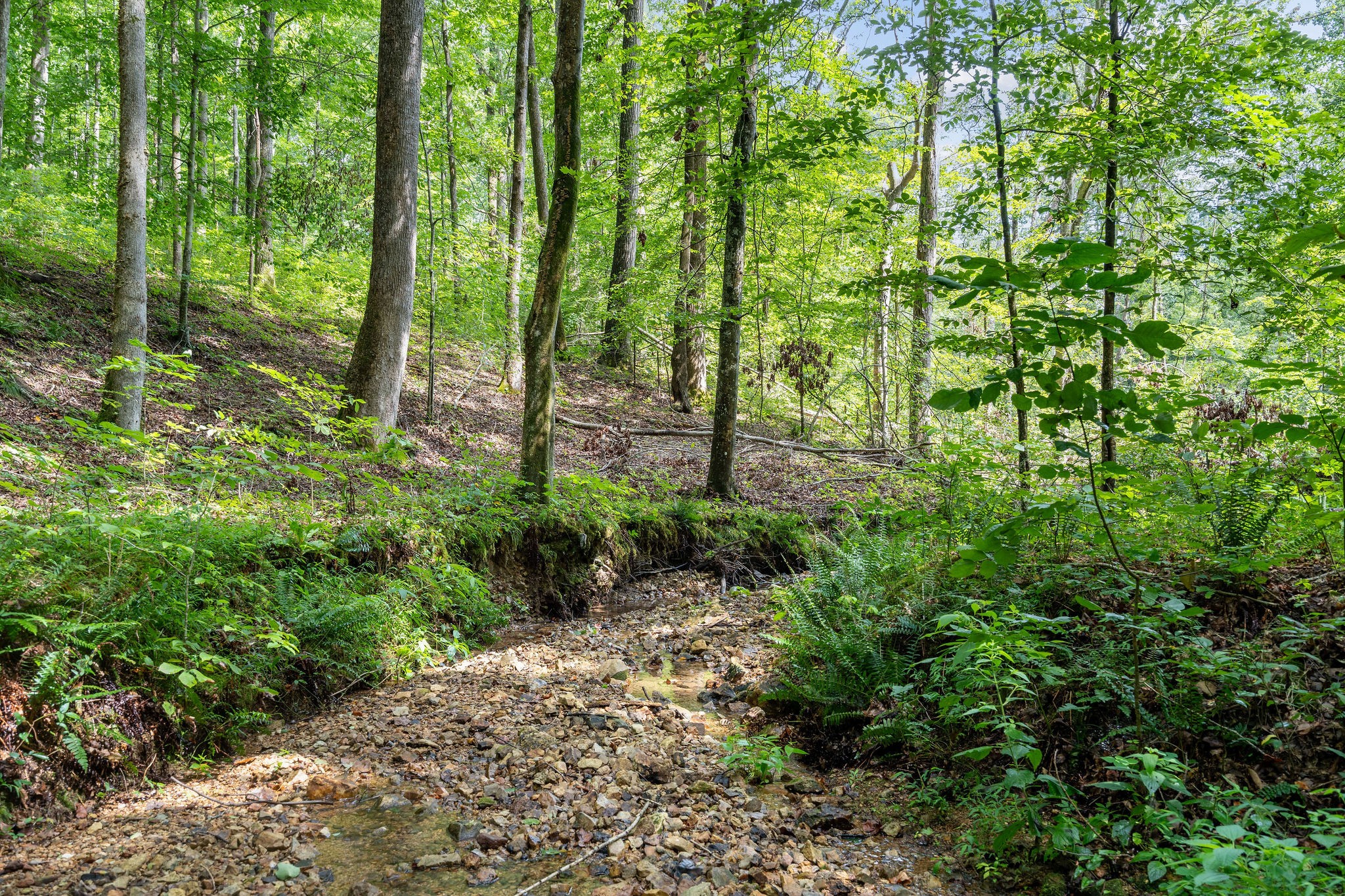 The creek is very low now because of the recent drought.