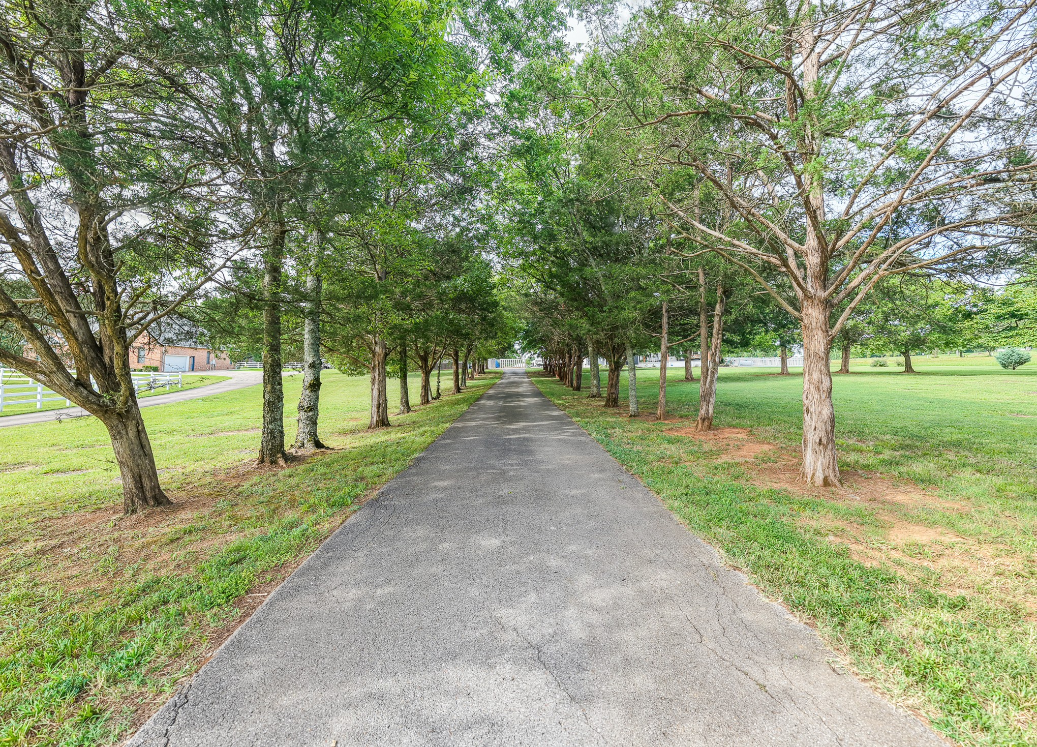 Driveway leading up to your new house. You can barely see the house from the road.