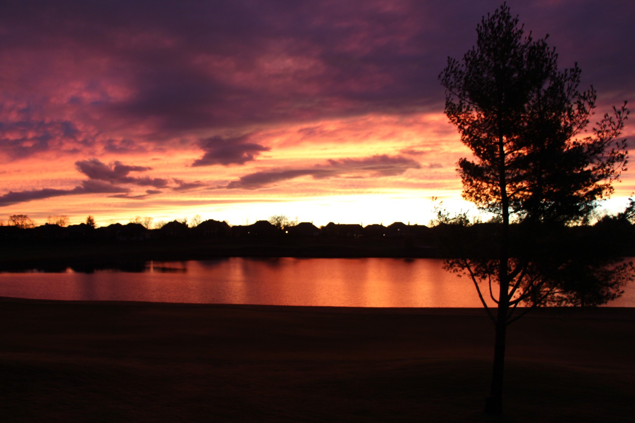 Actual View of Sunsets