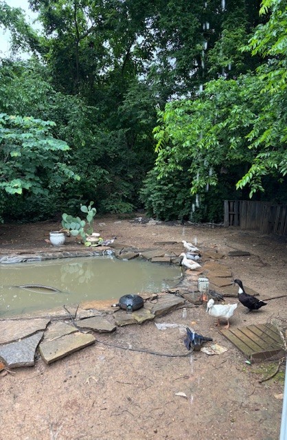 At one time the seller had sweet ducks in the back pond--so many options for this space!