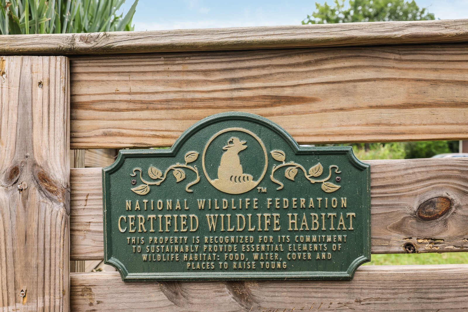 The front gardens are a certified wildlife habitat--you can maintain this or make it a lovely green space