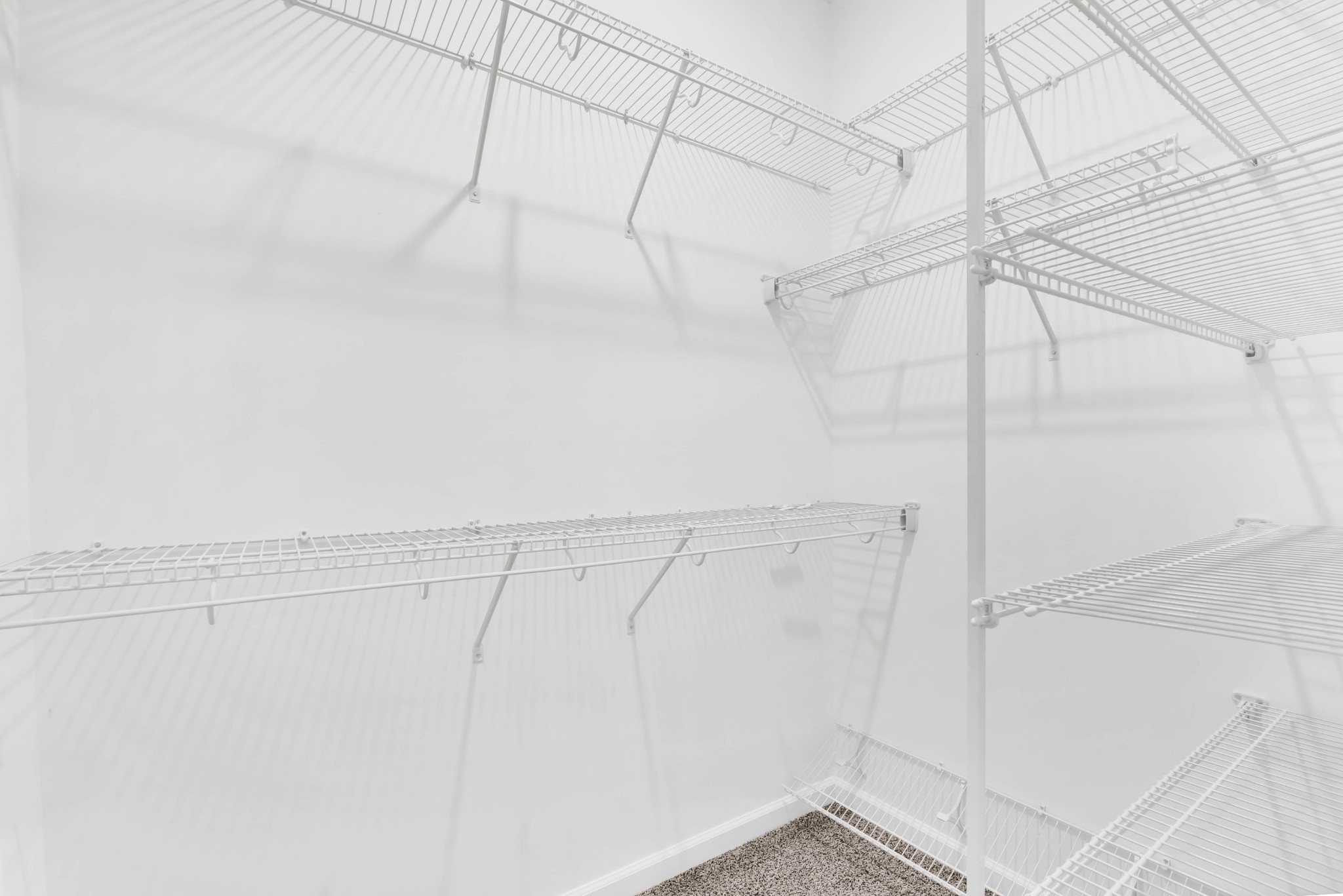 1213 Mourning Cloak Dr, Clarksville, TN, 37043