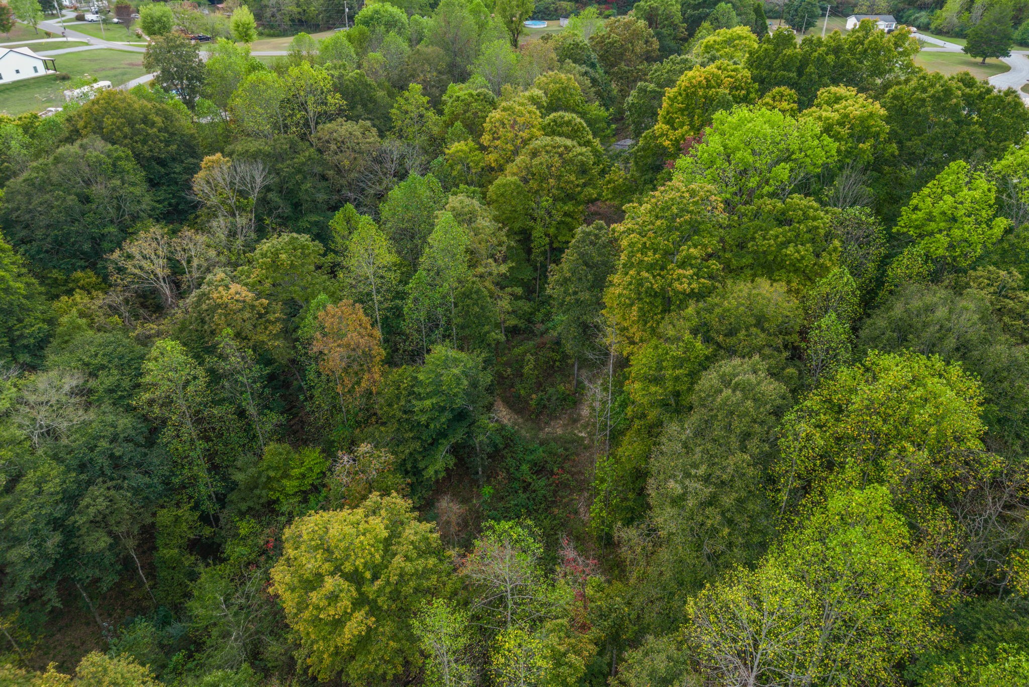 1037 Boston Hollow Rd, Ashland City, TN 37015