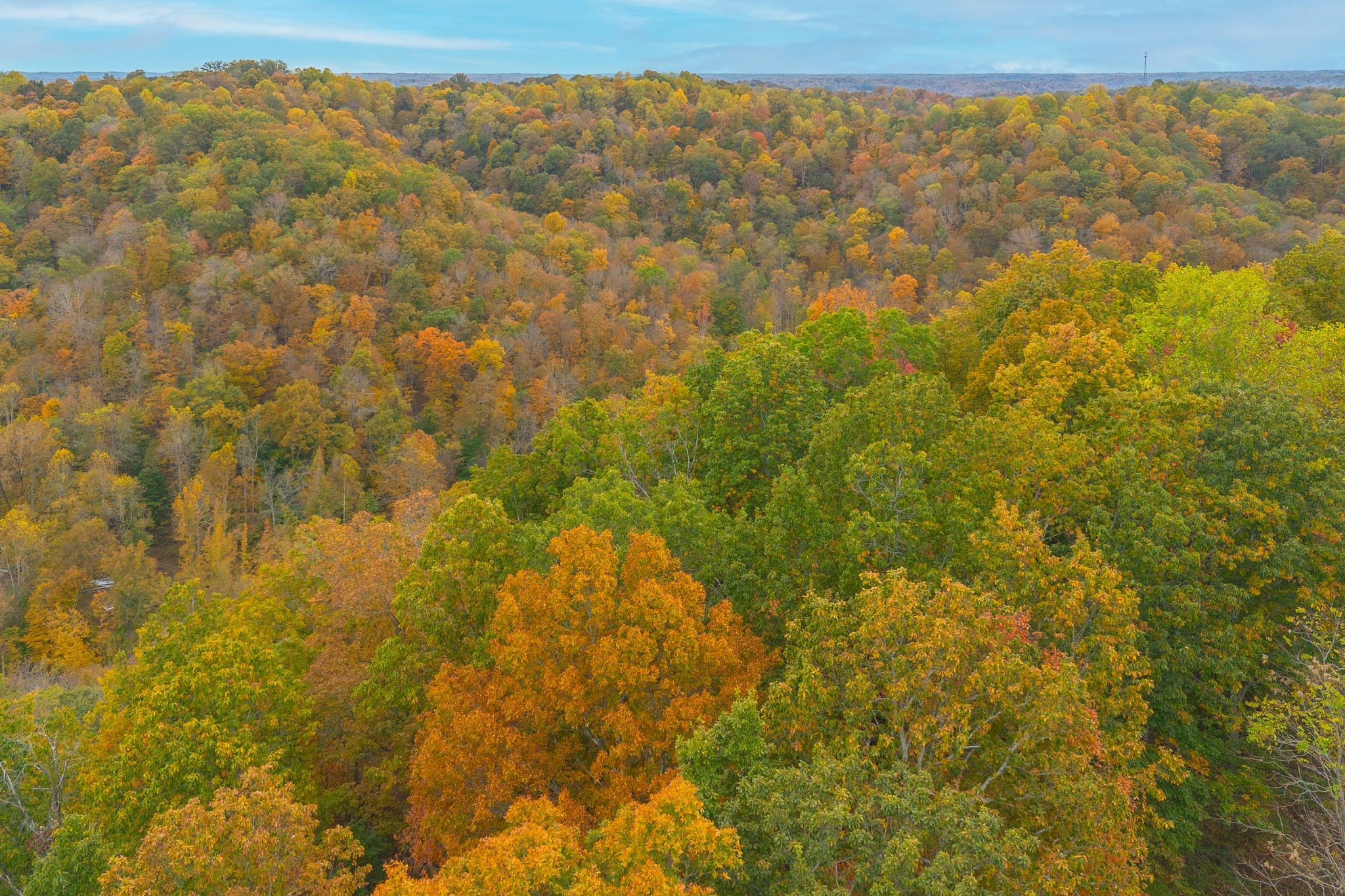 Pine Valley, Ashland City, TN 37015