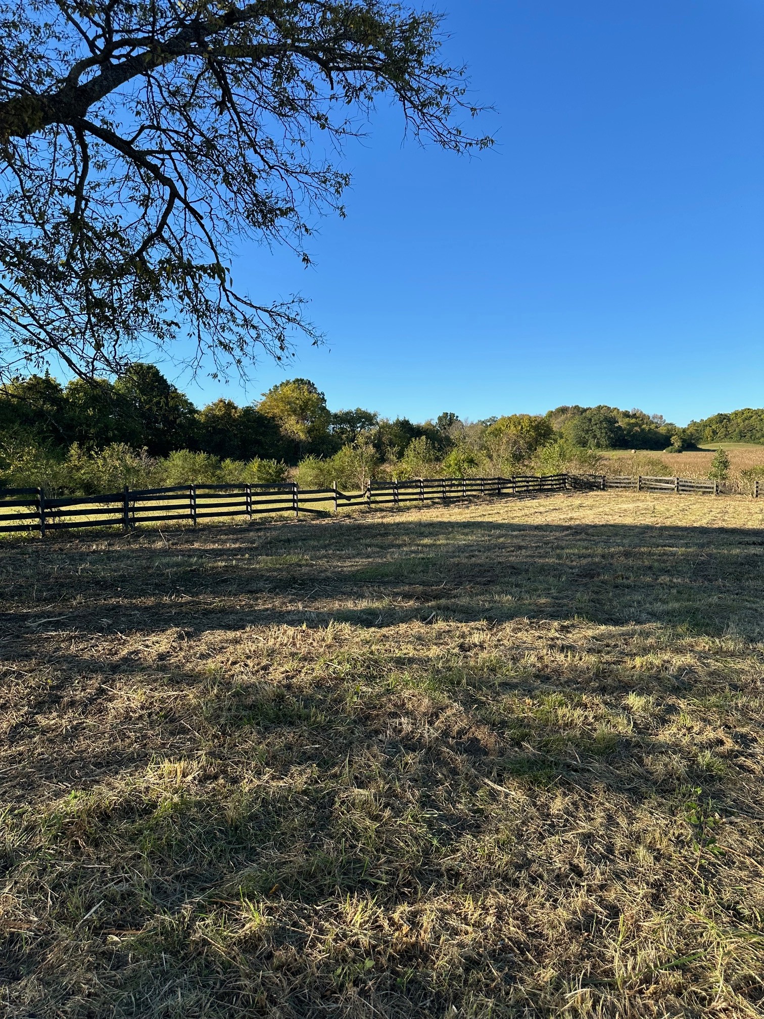 2227 Twin Peaks Ct, Spring Hill, TN 37174