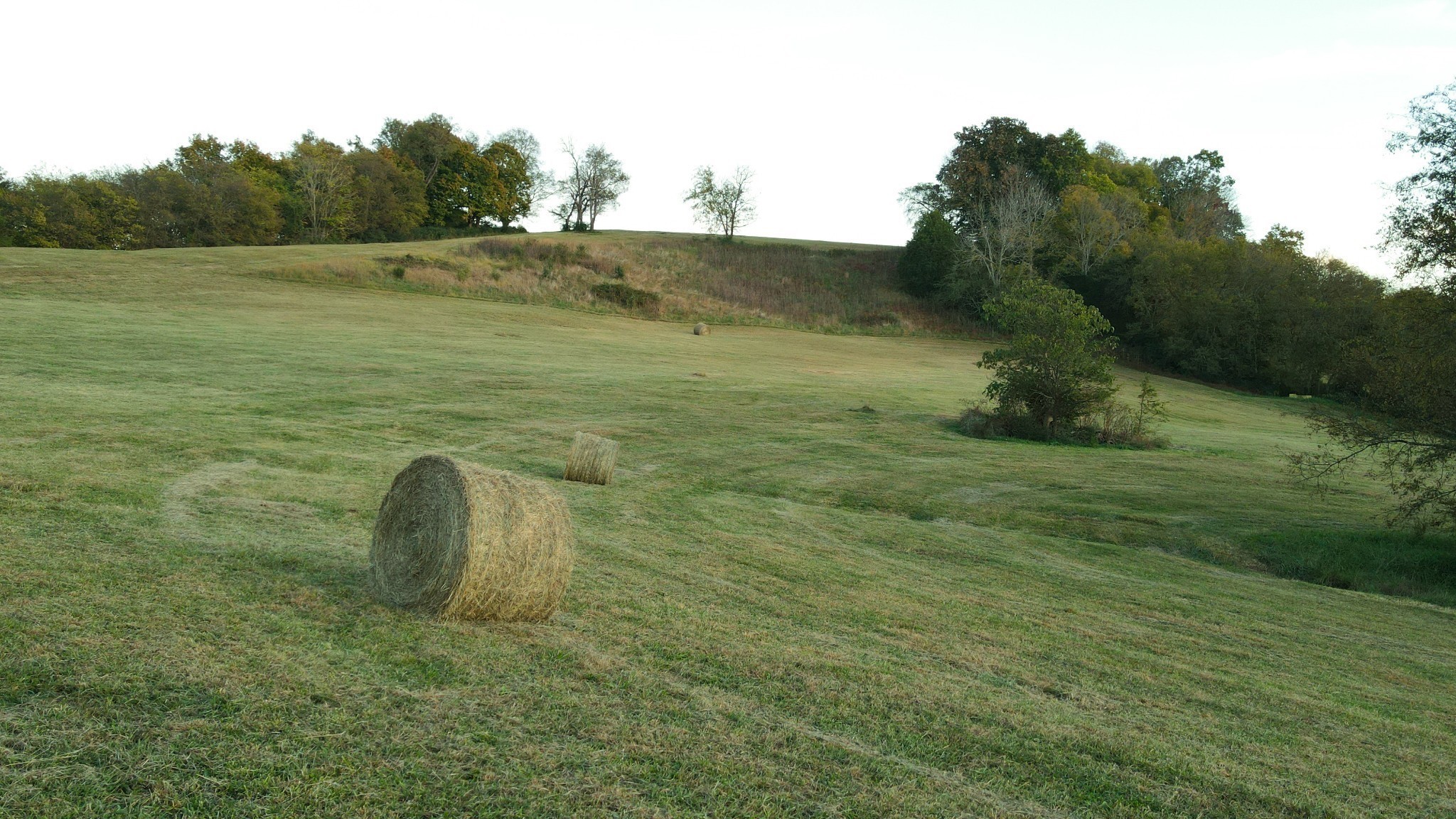 1924 Thompson Station Rd, Thompsons Station, TN 37179