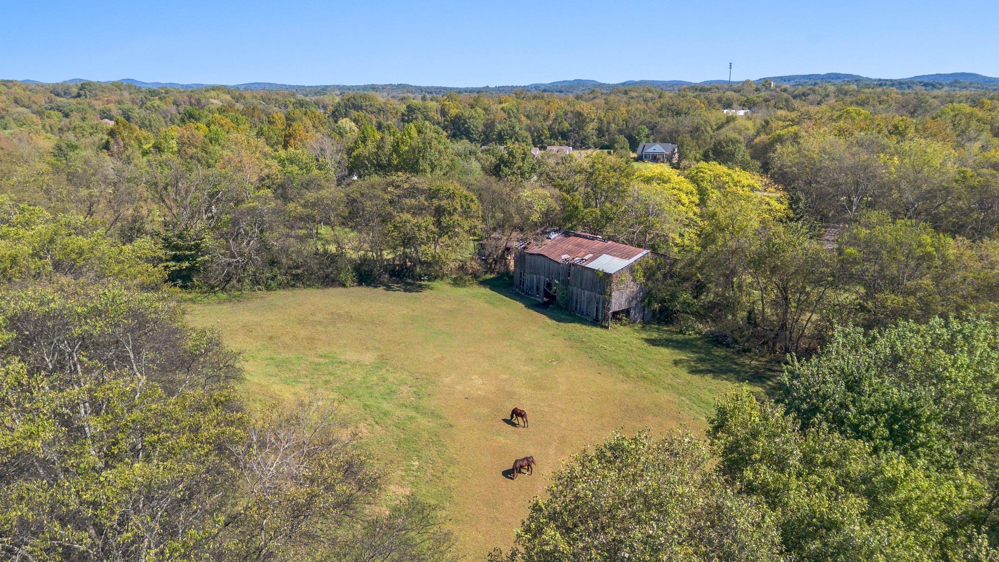 6646 Arno College Grove Rd, College Grove, TN 37046