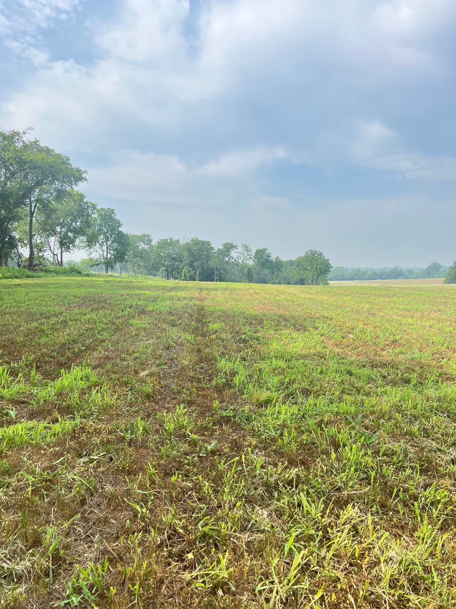 2716 Hartsville Pike, Castalian Springs, TN 37031