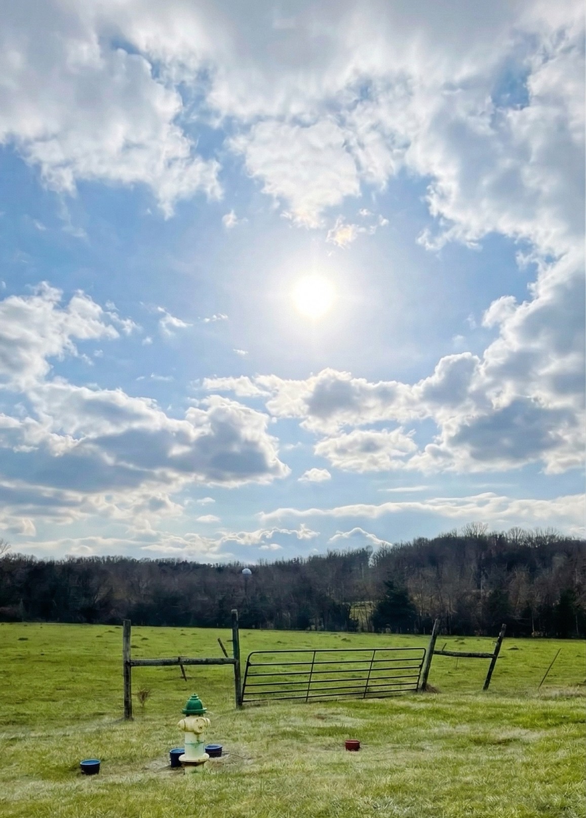 Versailles Rd, Rockvale, TN 37153
