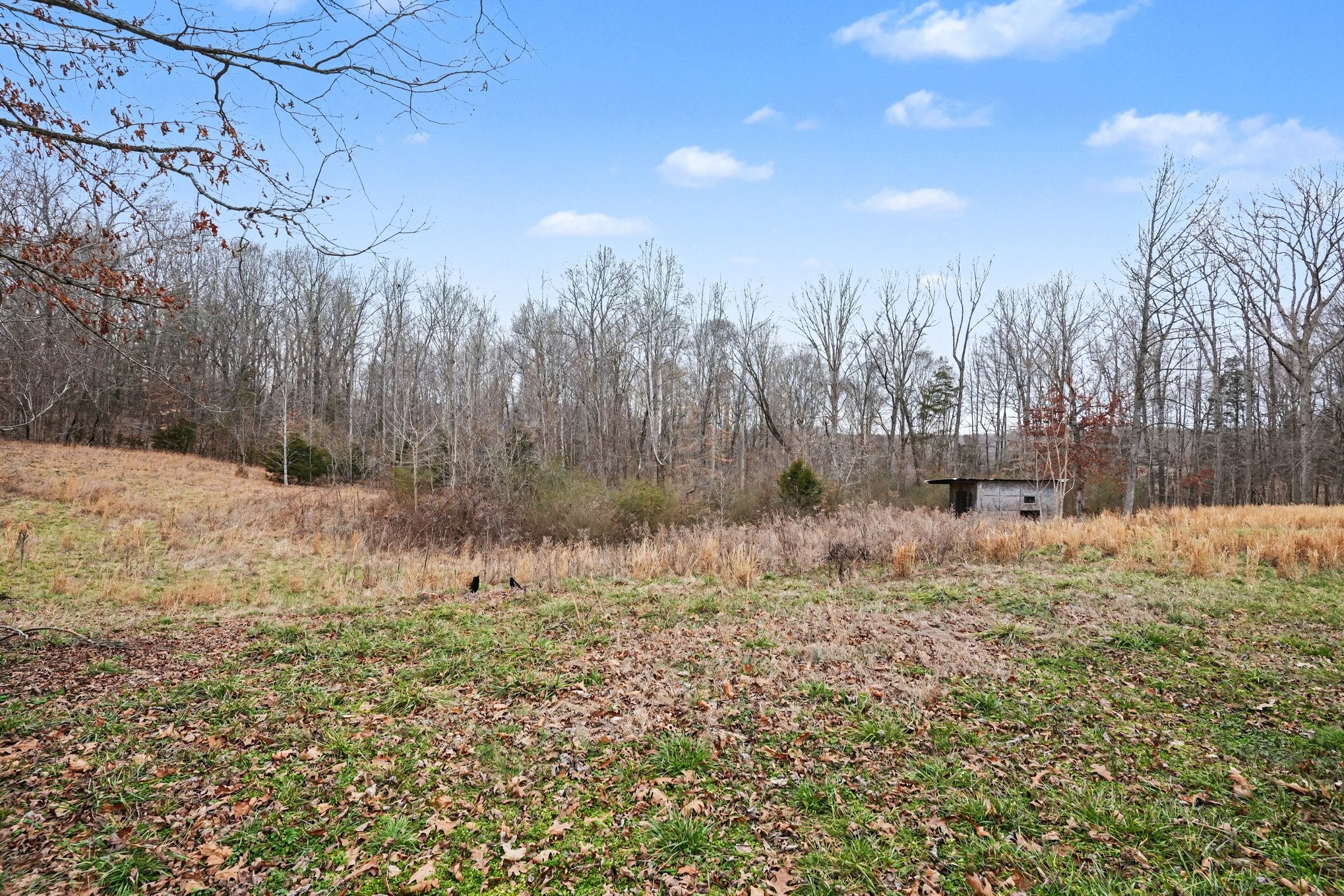 1323 Old Stage Rd, Charlotte, TN 37036
