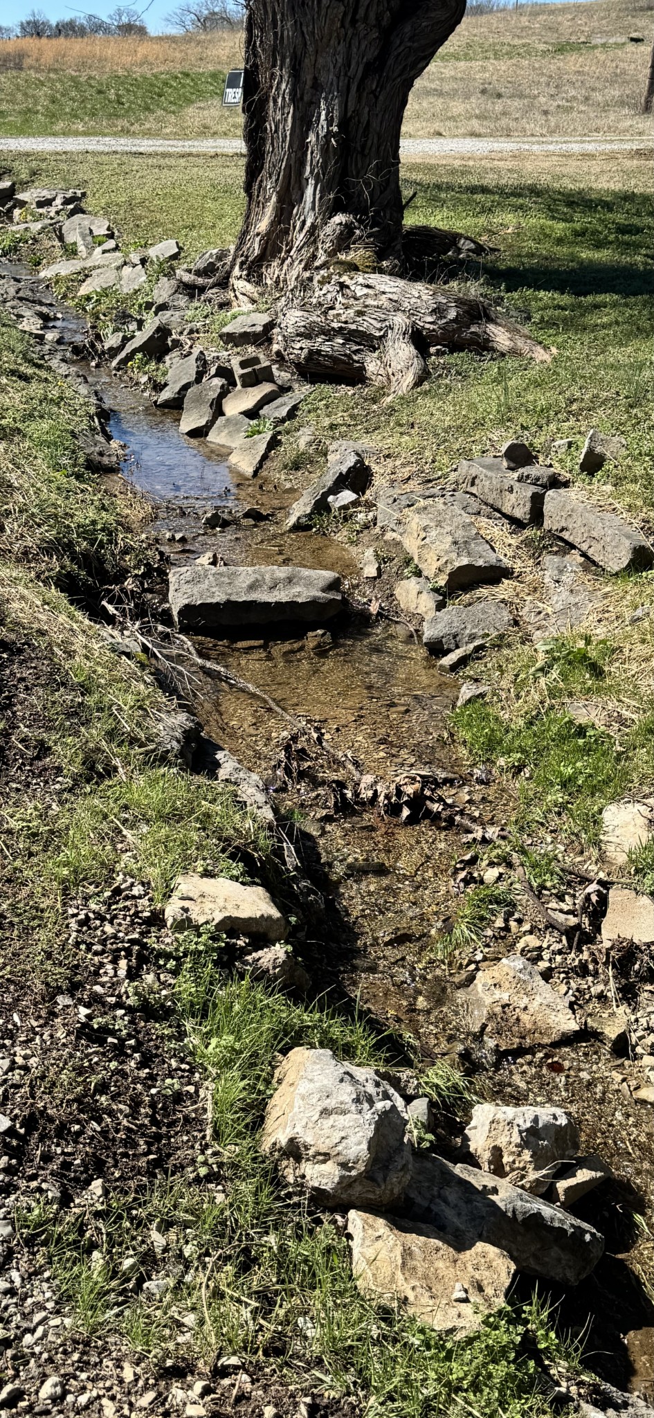 16 Beasley Bend Rd, Riddleton, TN 37151