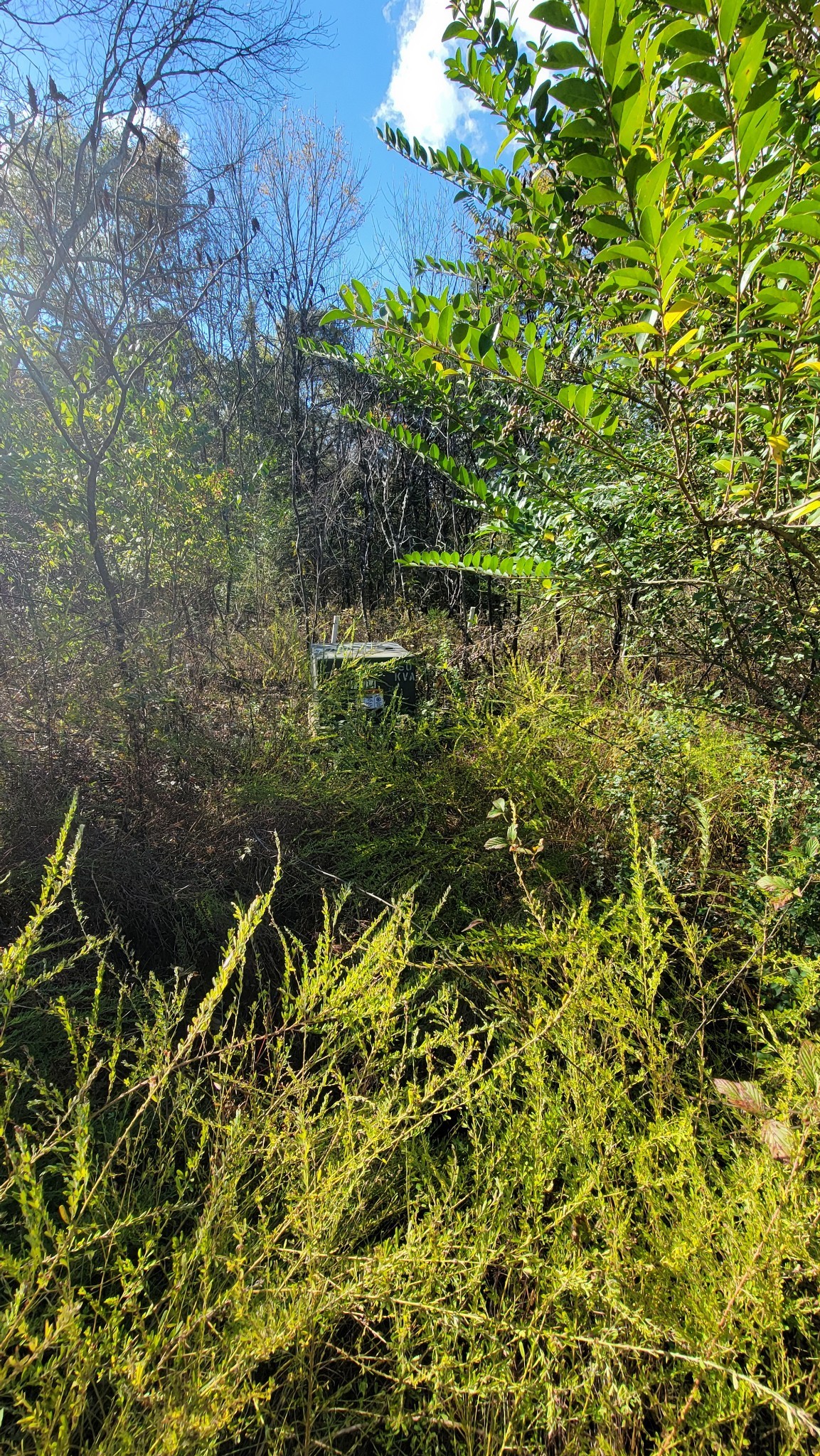 Briana Rd, Lebanon, TN 37087