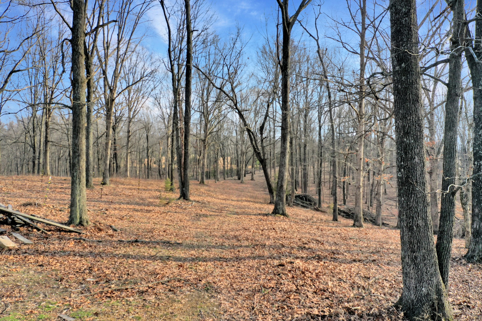 1041 Old Mount Vernon Rd, Bethpage, TN 37022