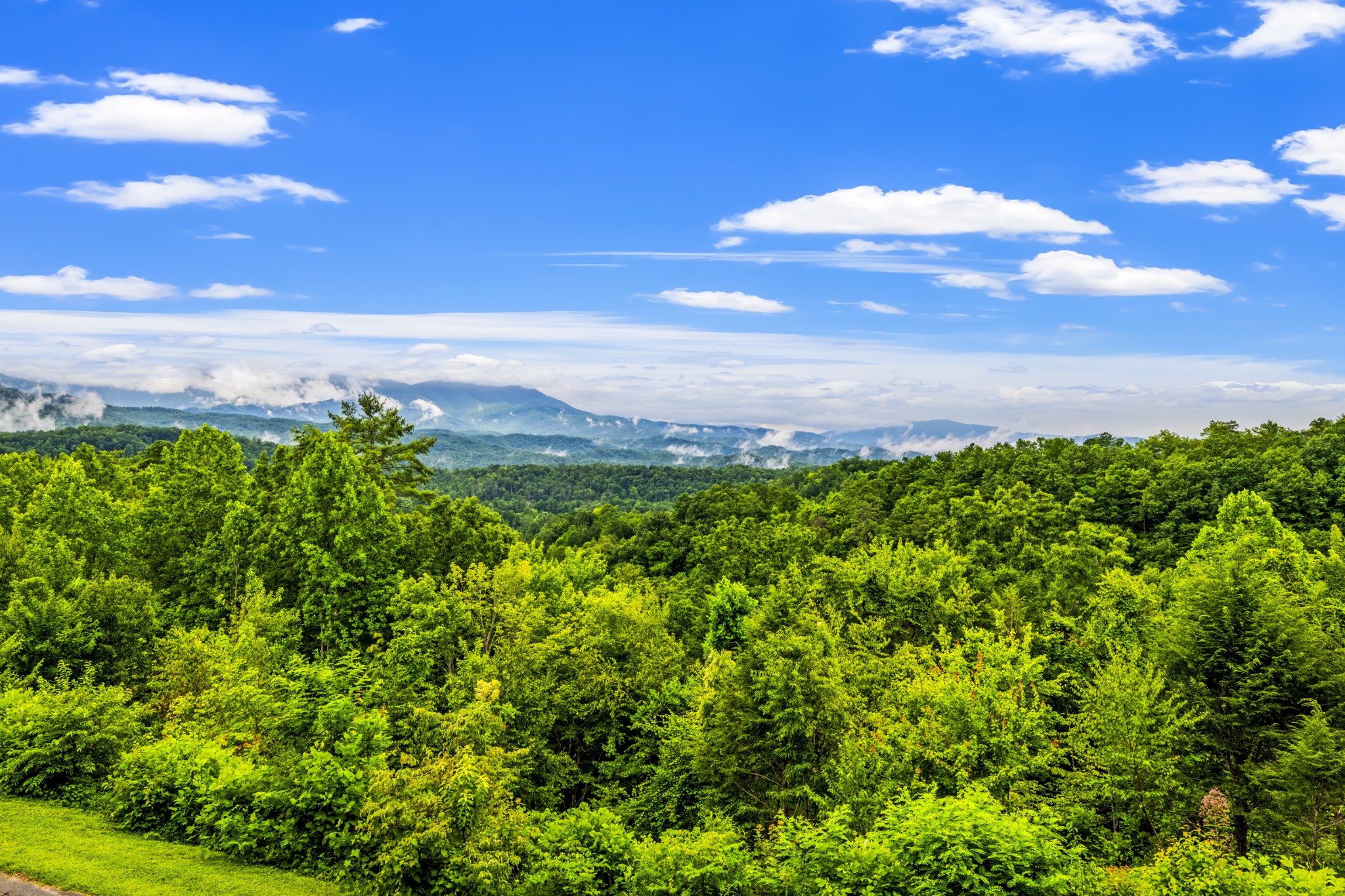 3710 Weber Rd UNIT&nbsp;E-106, Gatlinburg, TN, 37738