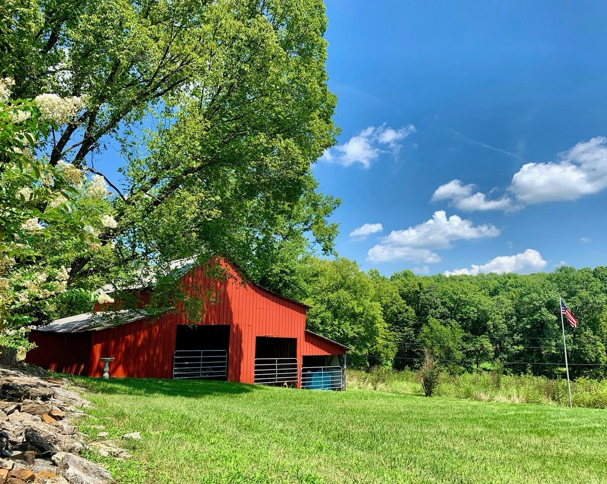 12112 Paw Paw Springs Rd, Arrington, TN 37014