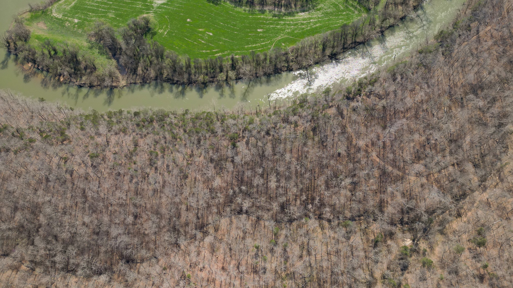 5 Primm Rd, Ashland City, TN 37015