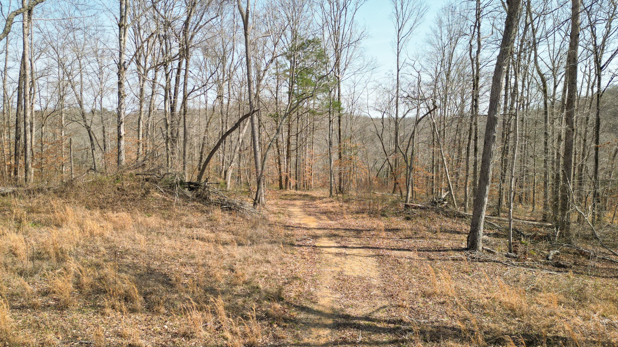 5 Primm Rd, Ashland City, TN 37015
