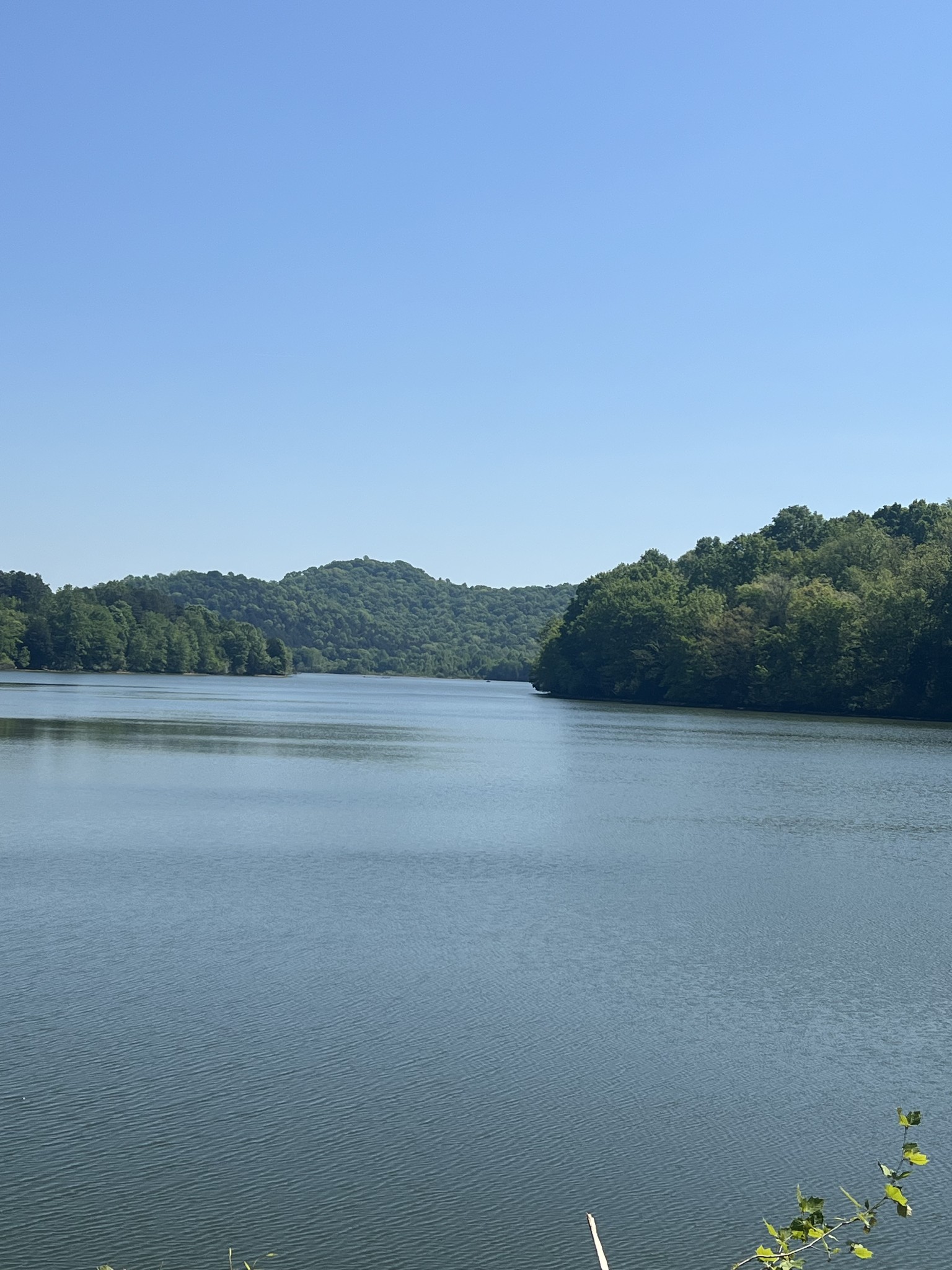 11 Preston Ln, Elmwood, TN 38560