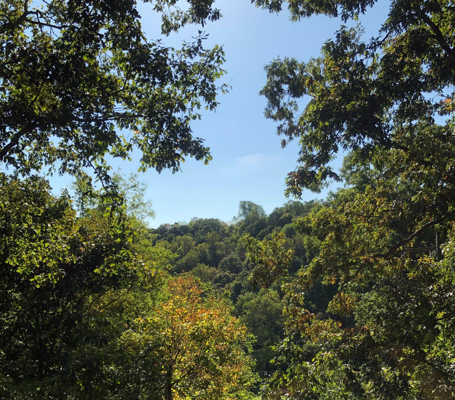 341 Harpeth Ridge Dr