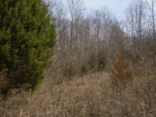 6 .50ac Hatcher Rd.