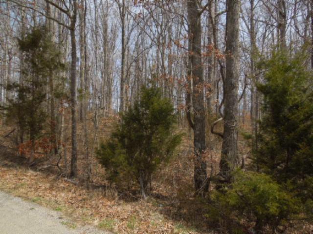 6 .50ac Hatcher Rd.