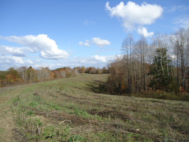 Mccormick Ridge Road