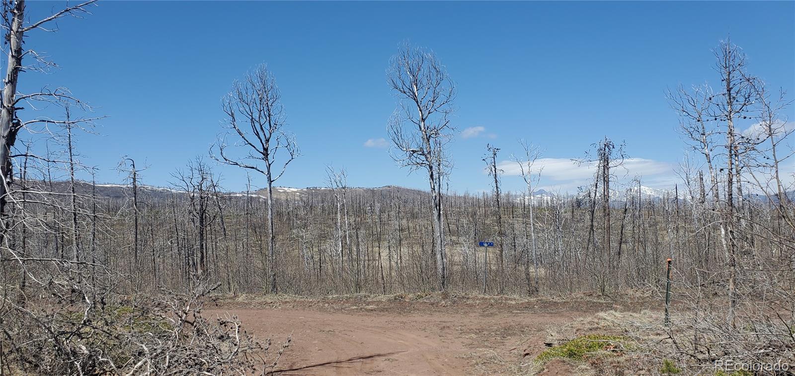 Lot 1667 Towey Place