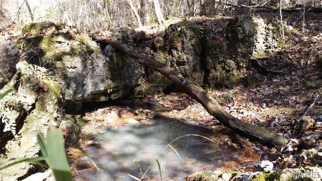 10256 Christina Trail