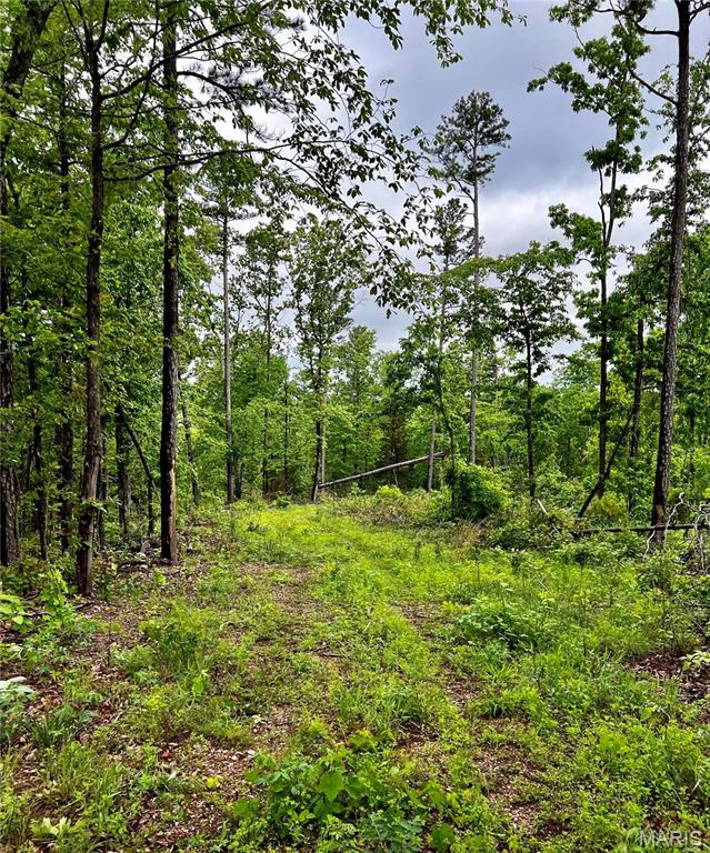 382 Furnace Creek Road