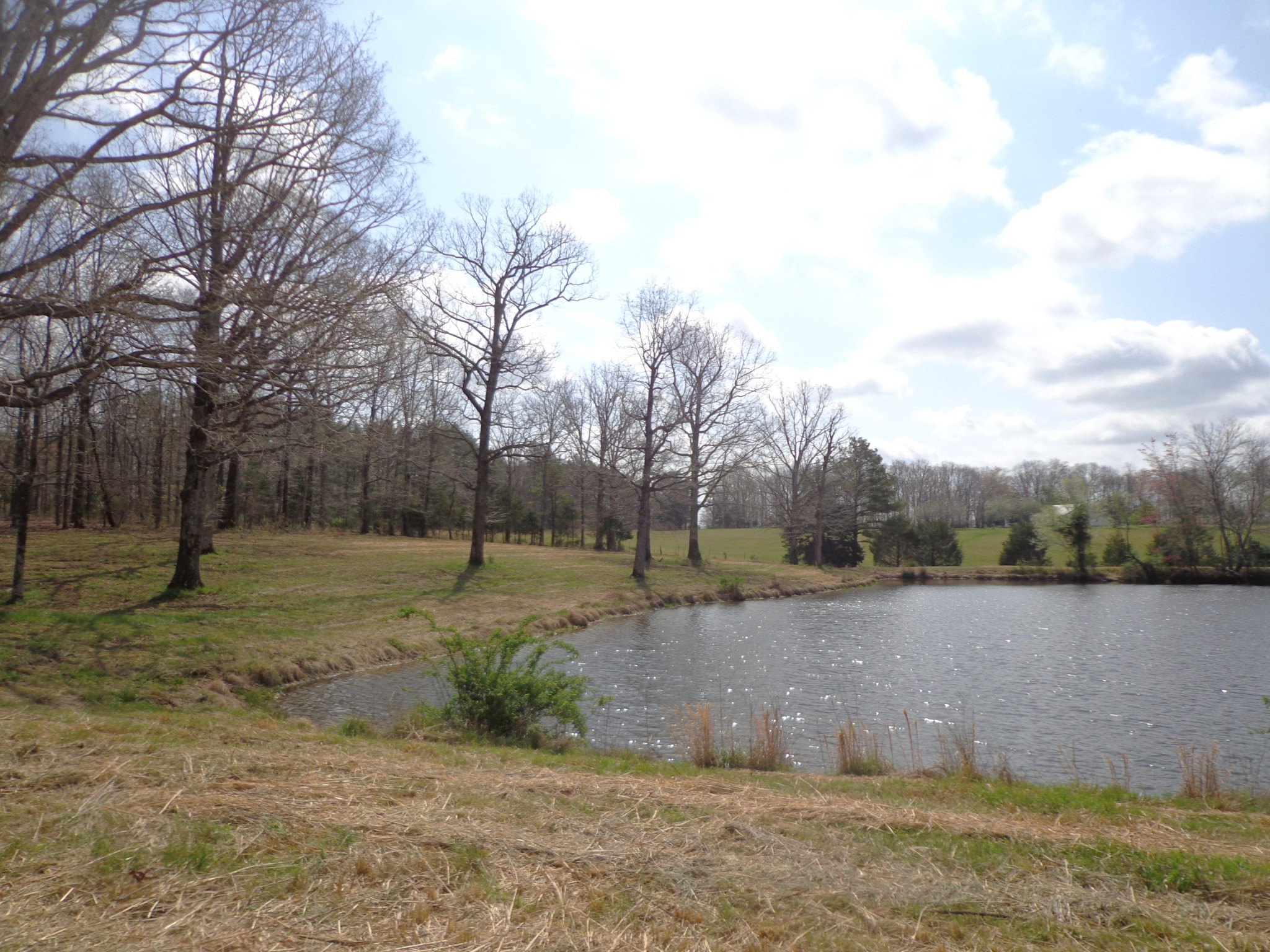 1551 Tennessee Ridge Road