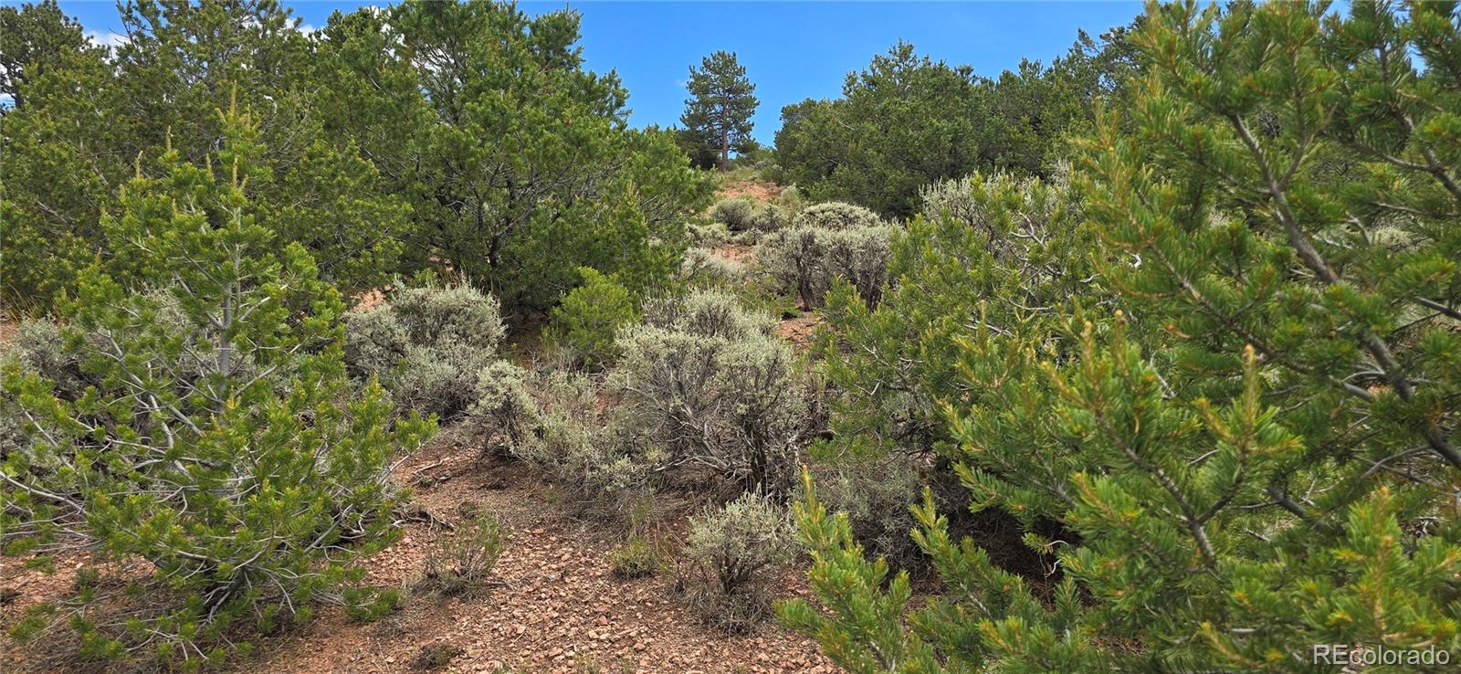 Lot 4401 Melcarth Road
