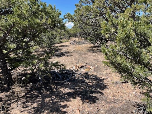 Lot 3306 Fontaine