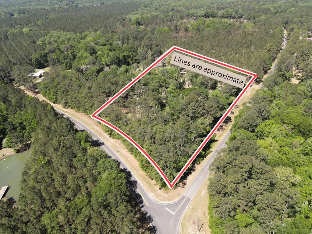 **Must be accompanied by a real estate agent** Discover 12 pristine acres in Cairo, Georgia, where beautiful pine trees create a serene backdrop and ready for your vision! This property has been cleaned up, boosts a brand new fence, two fresh gates for easy access, and it's already been perked for your future build. A survey is also available. Whether you envision a private homesite or a recreational escape, this land is ready for you! Property is in a covenant.