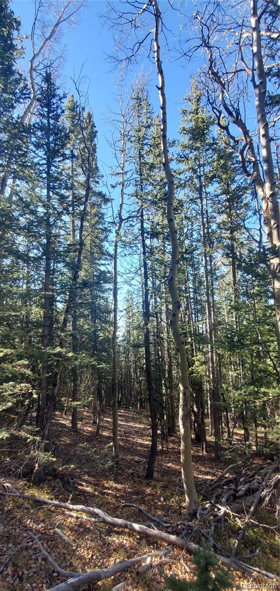 Lot 6581 Ackerman Road