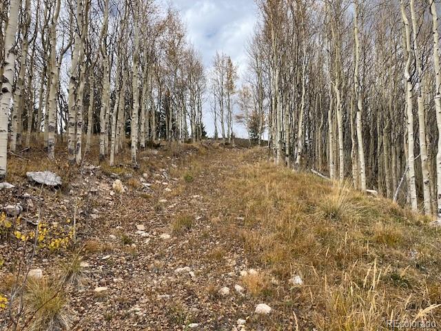 Lot 6557 Schlueter Road