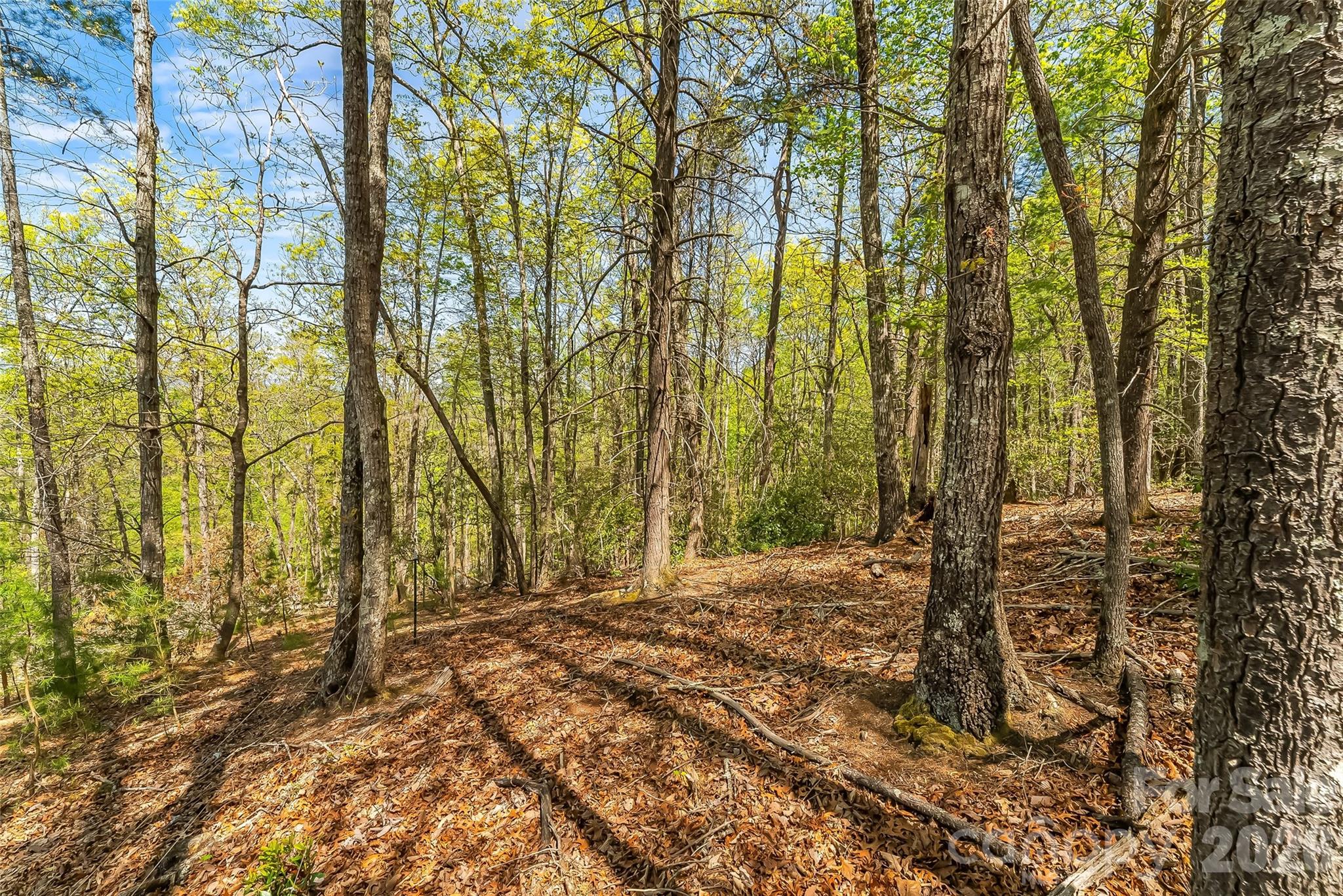 1006 High Trail Drive 32-11