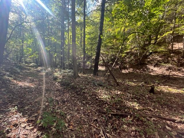 115 acre Dallas Freeman Road, Hiwassee, VA 24347