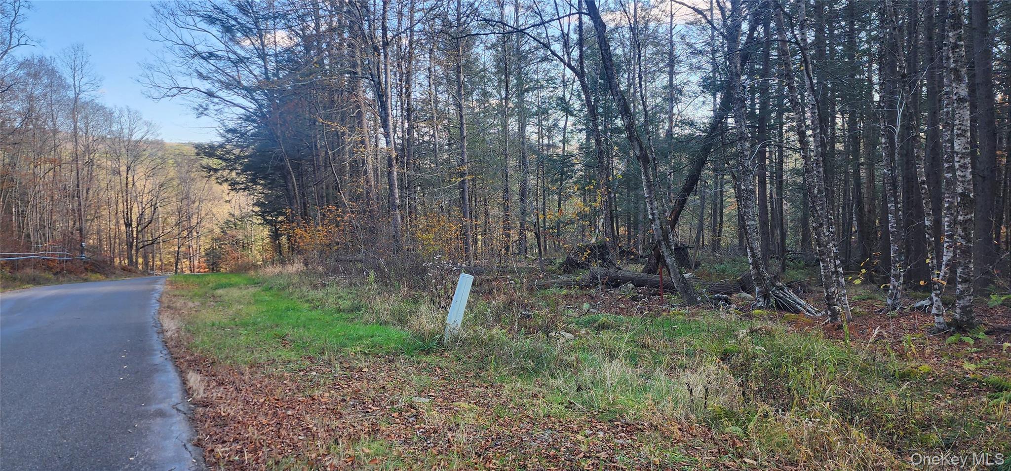 00 Hunter Road