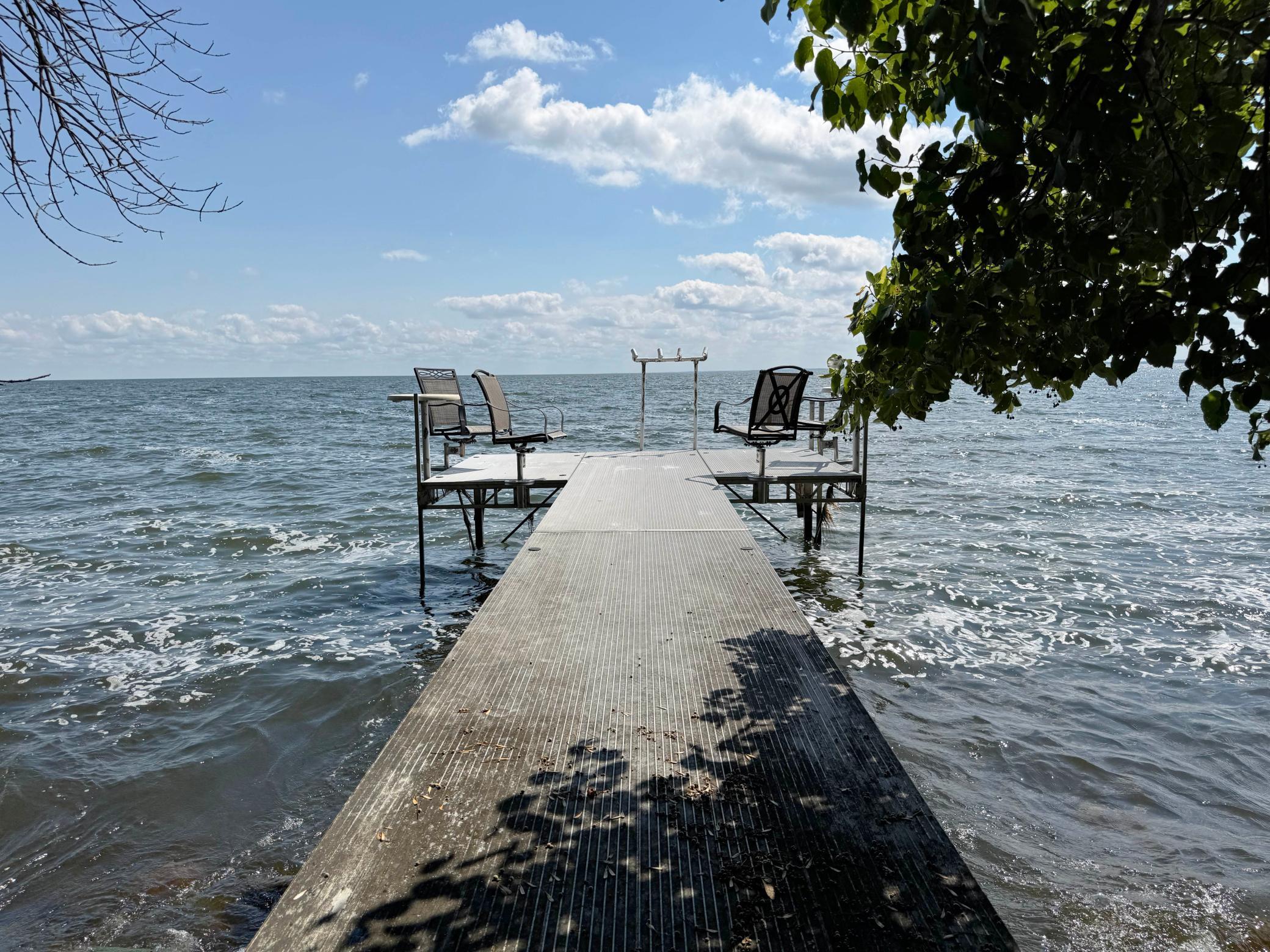 44205 Conifer Street